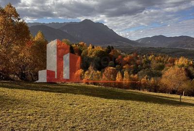 Teren Bran-Tohanita loturi intre 500/1000 mp - 1