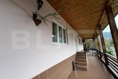 Casa cu 240mp utili, teren, 955 mp zona Martinie - Transalpina - 1