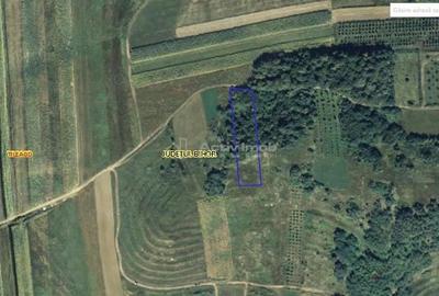 Teren extravilan de vanzare in Tileagd - 3166 mp cu panorama superba - 6