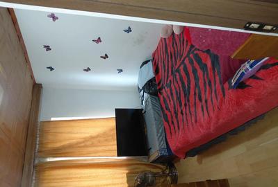 Inchiriez apartament cu doua camere in Ha?eg situat la parter utilat si mobilatr - 3