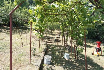 Casă individuală cu 12 camere cu Teren 1803 Mp în Central - 18