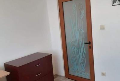Apartament cu 2 camere nedecomandat în Beba Veche - 4