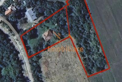 Teren de 2978 mp, în Derna - 1