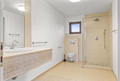 Vilă eleganta, spatioasa, suprafata utila 200 mp, teren 763 mp, Tărtășești - 37