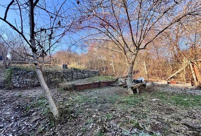Spatiu de birouri de inchiriat - la casa cu 4 apartamente pe Racovita - 34
