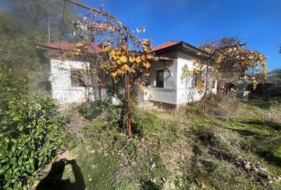 Casă cu 3 camere cu Teren 4500 Mp în Sud - 2