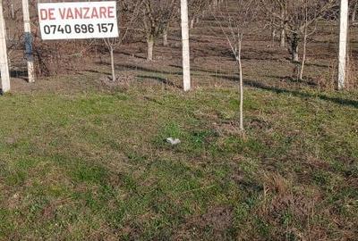 Teren de 500 mp, în Exterior Vest - 1