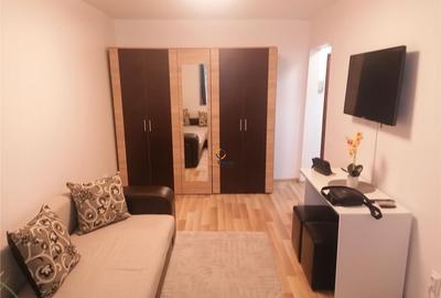 NOU Prima Garsoniera Spatioasa Iulius Mall Aradului - 9
