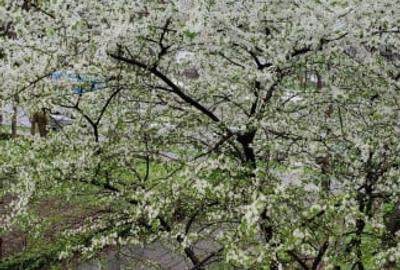 Garsonieră semidecomandată în Hipodrom - 10
