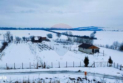 Teren de 9574 mp, în Iacobeni - 9