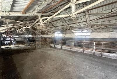 Spațiu comercial, de 356 mp, în Central - 6