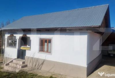 Casă cu 3 camere cu Teren 2000 Mp în Iordăcheanu - 8