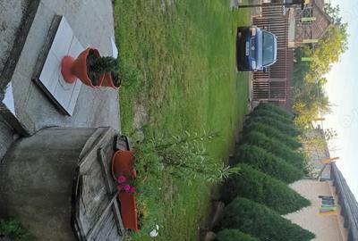 Casă cu 5 camere în Olanu - 5