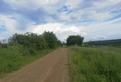 Teren de 35000 mp, în Exterior Vest