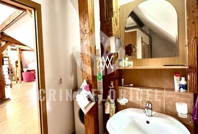 Apartament cu 3 camere semidecomandat, mobilat în Parcul Carol - 11