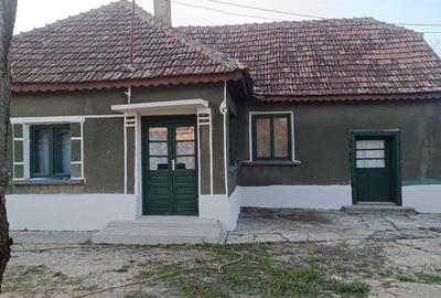 RECO Casa cu teren mare in Tulca - 4