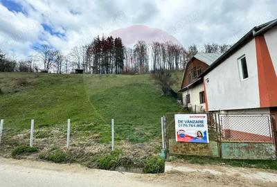Teren generos, dar ieftin, in Namae?ti - Arge? - 5
