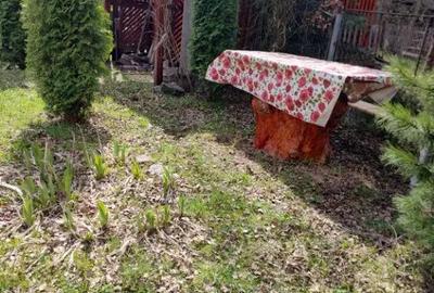 Casă cu 7 camere cu Teren 830 Mp în Central - 9