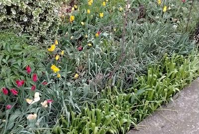 Casă individuală cu 3 camere cu Teren 1800 Mp în Smeeni - 1