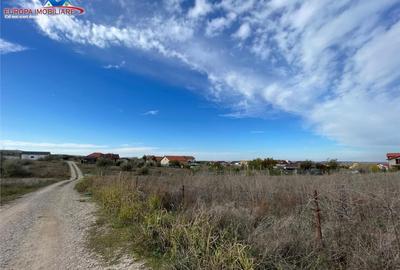 Teren intravilan in Mineri - 17