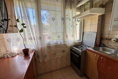 Apartament cu 2 camere decomandat, mobilat în Cornitoiu - 5