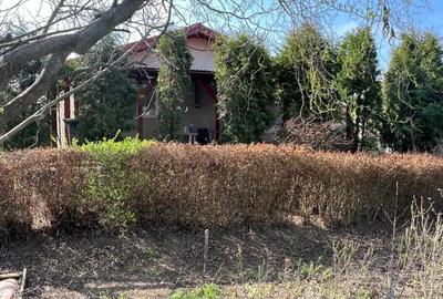 Casa -3 camere , Gruiu - Calarasi, teren 1476 mp - 13