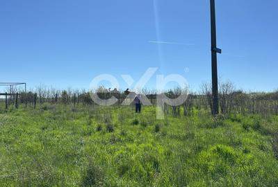 Teren agricol extravilan de 500 mp, în Eforie Sud - 1