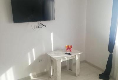 Casă cu 6 camere cu Teren 500 Mp în Băile Felix - 4