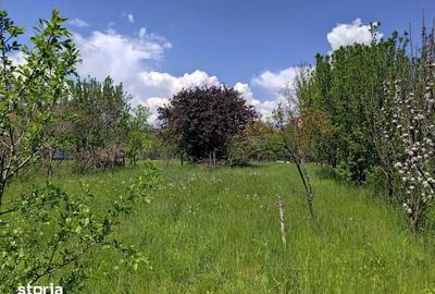 Teren de 1408 mp, în Brebu - 4