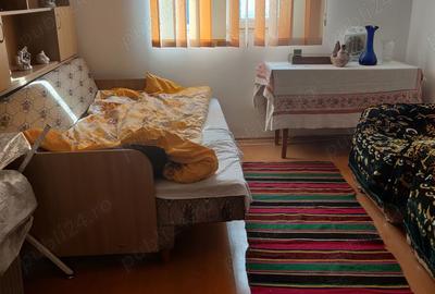 Vind casa in com Ungheni - 8