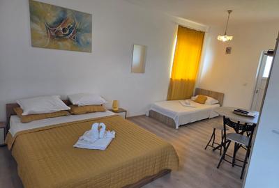 Pensiune 3 stele - Schitu-Costinesti - 215.000 euro (Cod E2) - 8