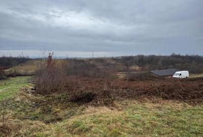 Teren de 5000 mp, în Mocira - 3