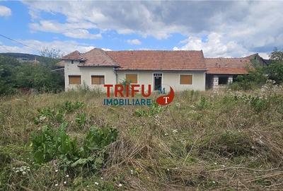 Casa de vanzare in Hapria 4139mp teren - 3