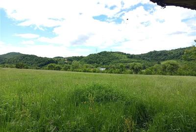 Teren agricol extravilan de 16000 mp, în Borlovenii Noi - 13