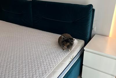 Apartament cu 2 camere semidecomandat, mobilat în Politehnica - 17