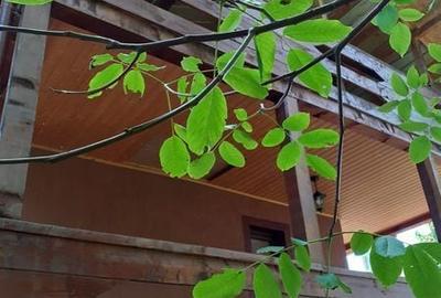Casă cu 2 camere cu Teren 308 Mp în Poienarii de Muscel - 3