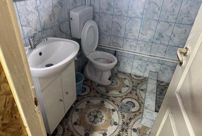 Casa + anexe de vanzare Sat Ro?iori, Comuna Vanatori, Mehedinti - 7