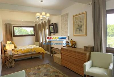 Vanzare Vila noua 2016, curte 1000 mp - ZONA SNAGOV - 275000 Euro Vanzare Vila noua 2016, curte 1000 mp - ZONA SNAGOV - 275000 Euro - 8