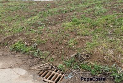 Sisesti str.Dirijorului (in capatul str.Al.Bratu) 1000 mp deschidere 18,27 ml - 5