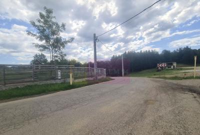 Teren intravilan de vanzare in Breaza (dezvoltare imobili... - 17