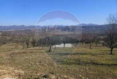 Teren de 4627 mp, în Bârsana