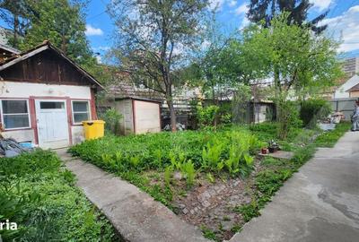 Casă în Mureșeni - 8