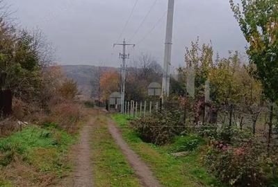 Valea ursului, TEREN 1000mp. utilitati la limita terenului - 1