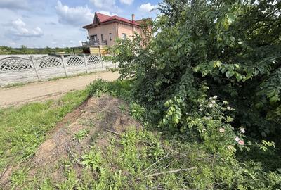 Teren Construcții intravilan de 498.01998901367 mp, în Tamași - 13