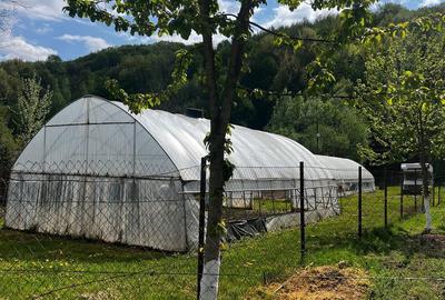 Teren de 1423 mp, în Telega - 4