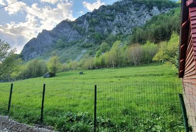 Teren intravilan de 3290 mp, în Lepșa - 1