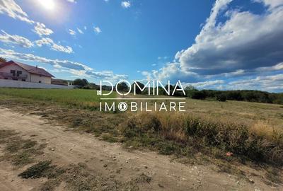 Teren Construcții intravilan de 2593 mp, în Exterior Vest - 4