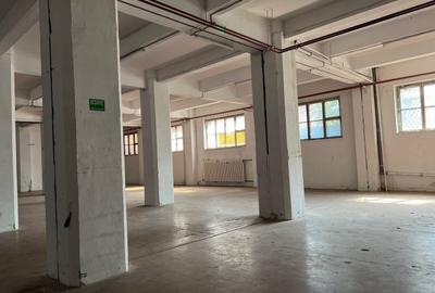Spatiu depozitare si productie Cotroceni - 5