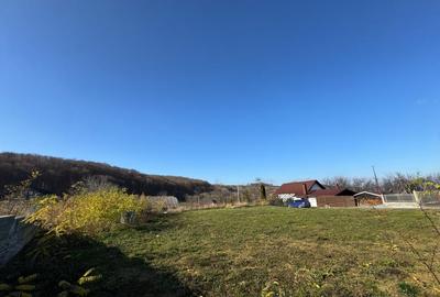 Vanzare  1400mp teren imprejmuit 2 loturi pt casa Adancata - sub padure - 8