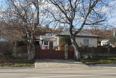 Casă individuală cu 3 camere cu Teren 2000 Mp în Deleni - 13